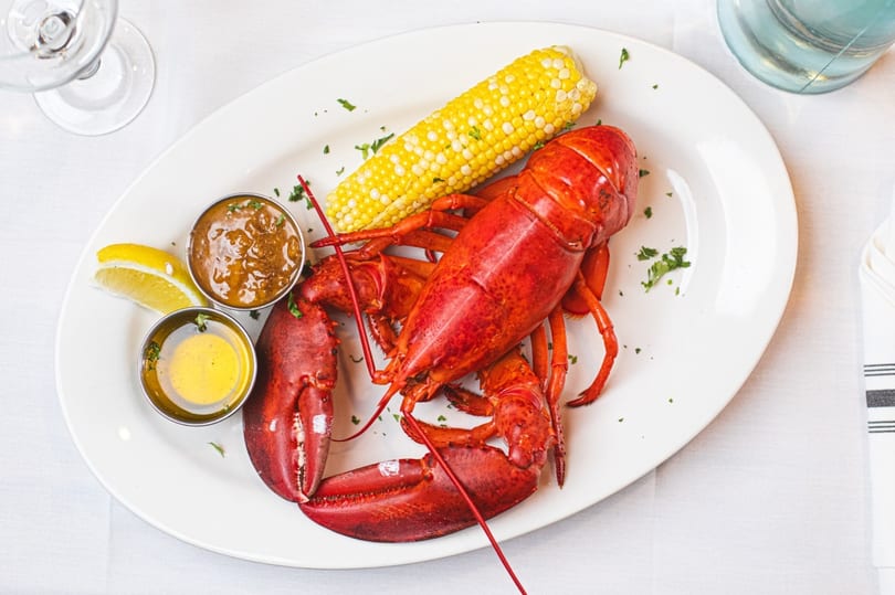 A vibrant red cooked lobster, corn on the cob, lemon, and two dipping sauces on a white plate.
